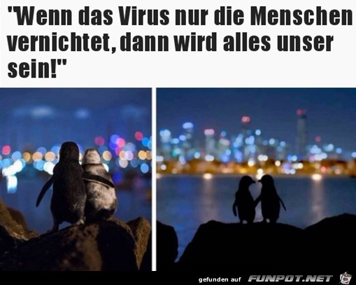 Das gehrt dann alles uns