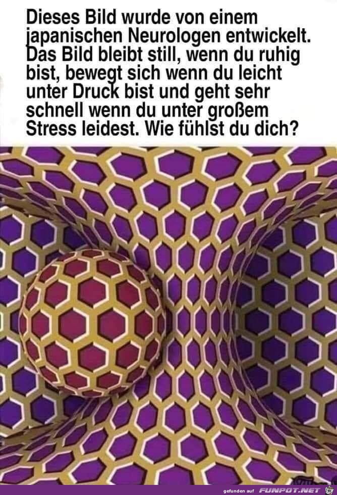 Na, was siehst Du?