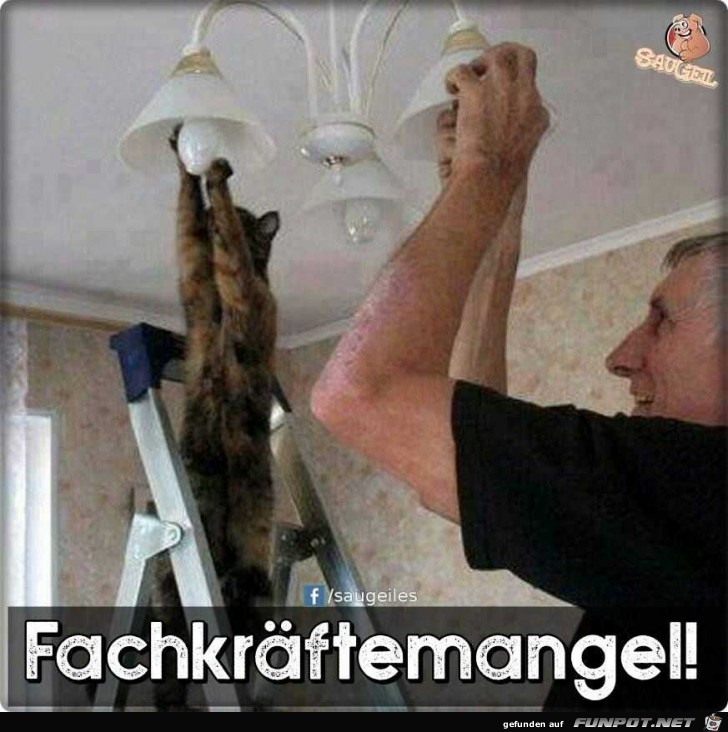 Fachkrftemangel