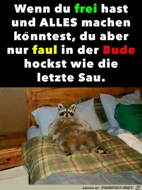 wenn du frei hast und Alles machen knntest