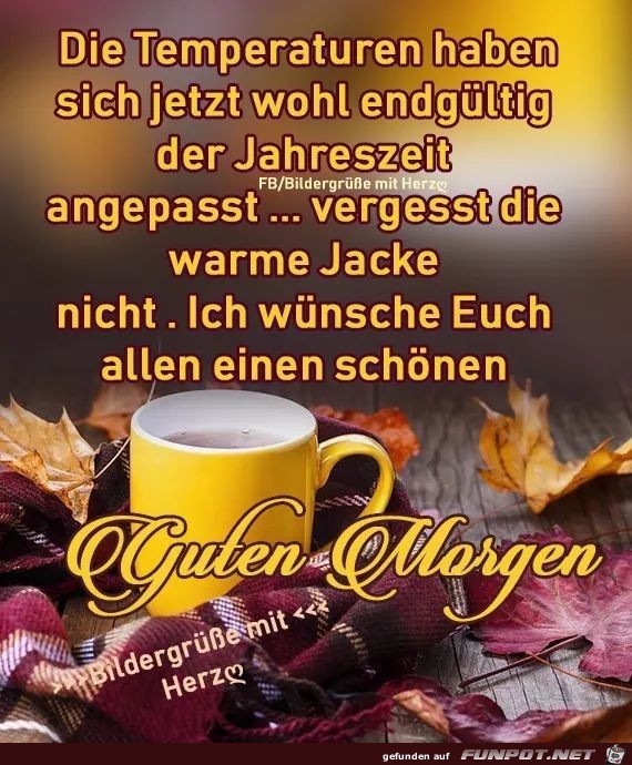 guten Morgen