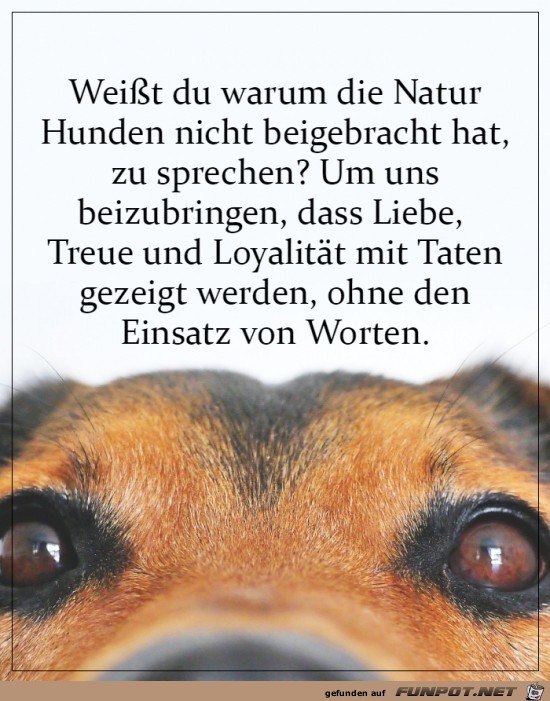 Lass Taten sprechen und nicht Worte