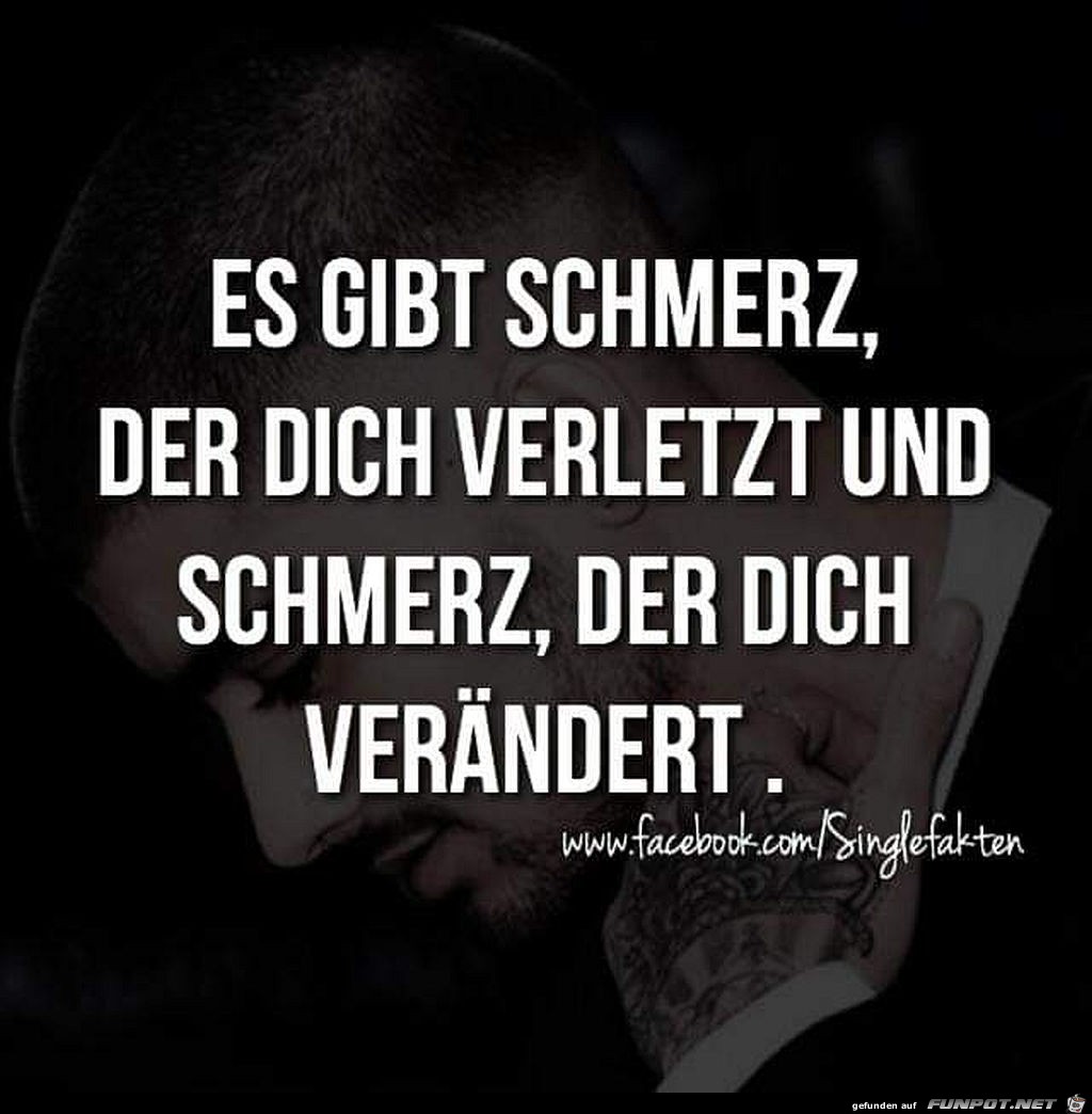 Der Schmerz