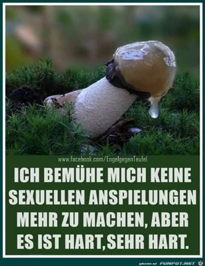 Get Ich bemuehe mich HD