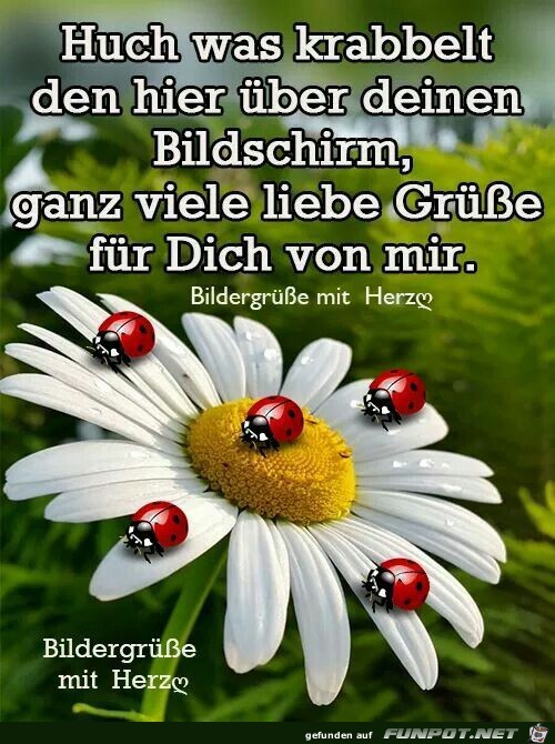 Gruss liebe What does