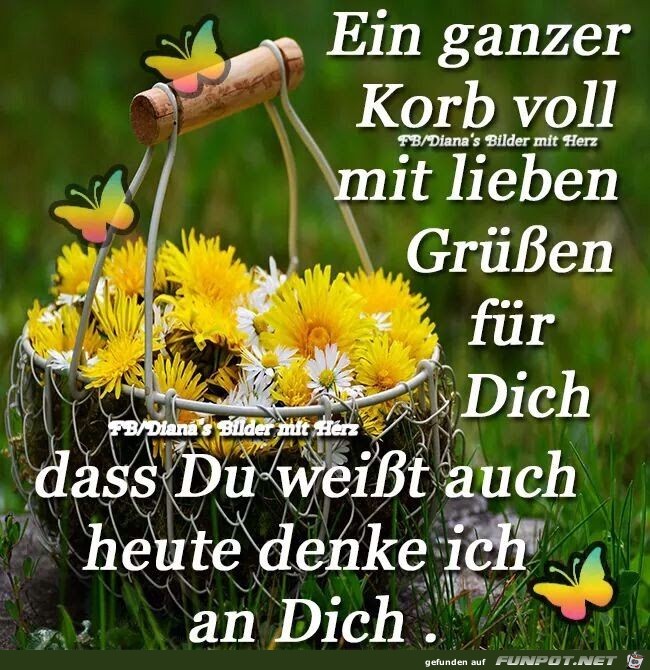 ein ganzer Korb voll lieber Gre