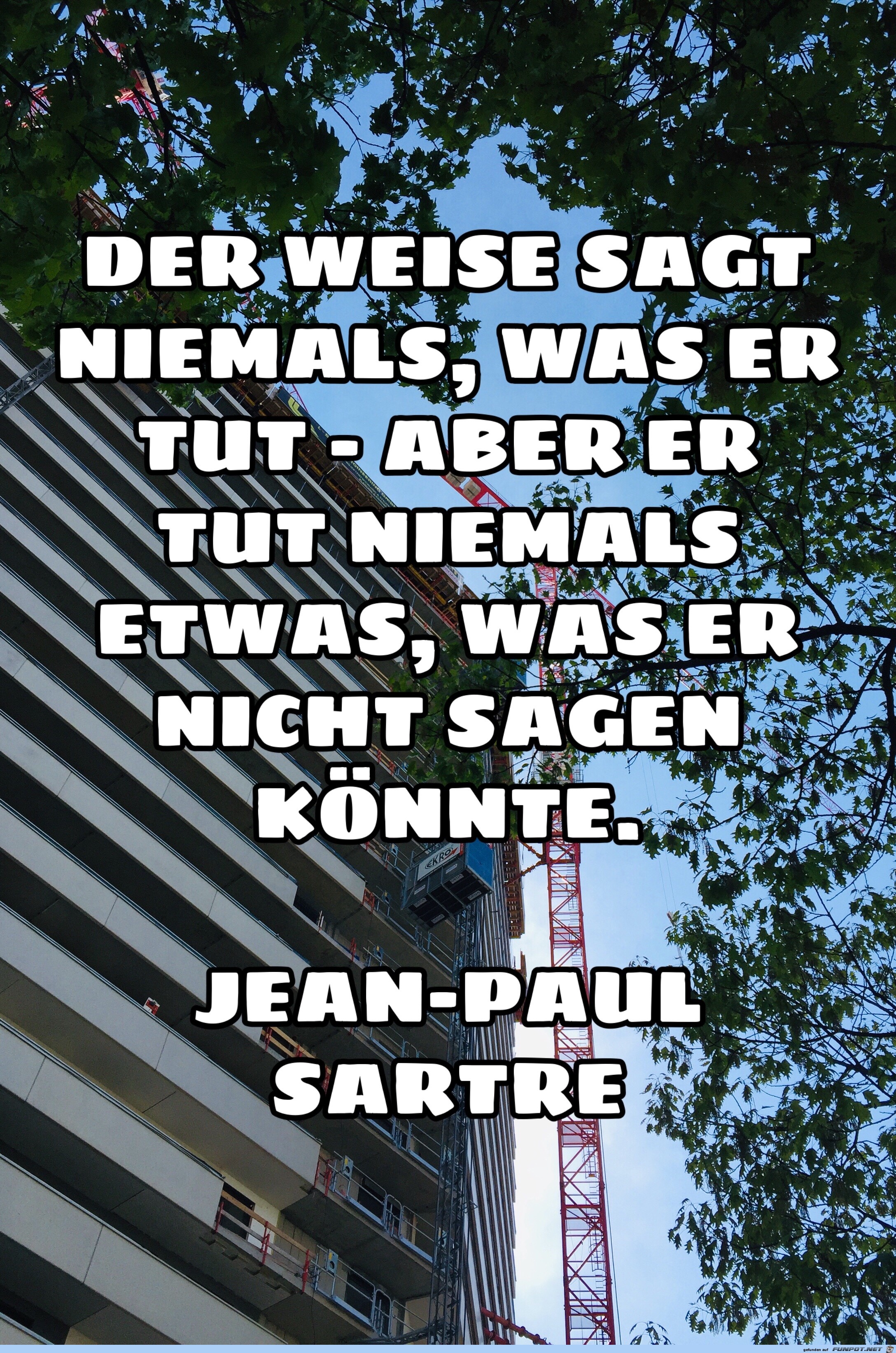 der weise sagt niemals