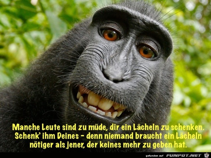 Manche Leute sind zu mde