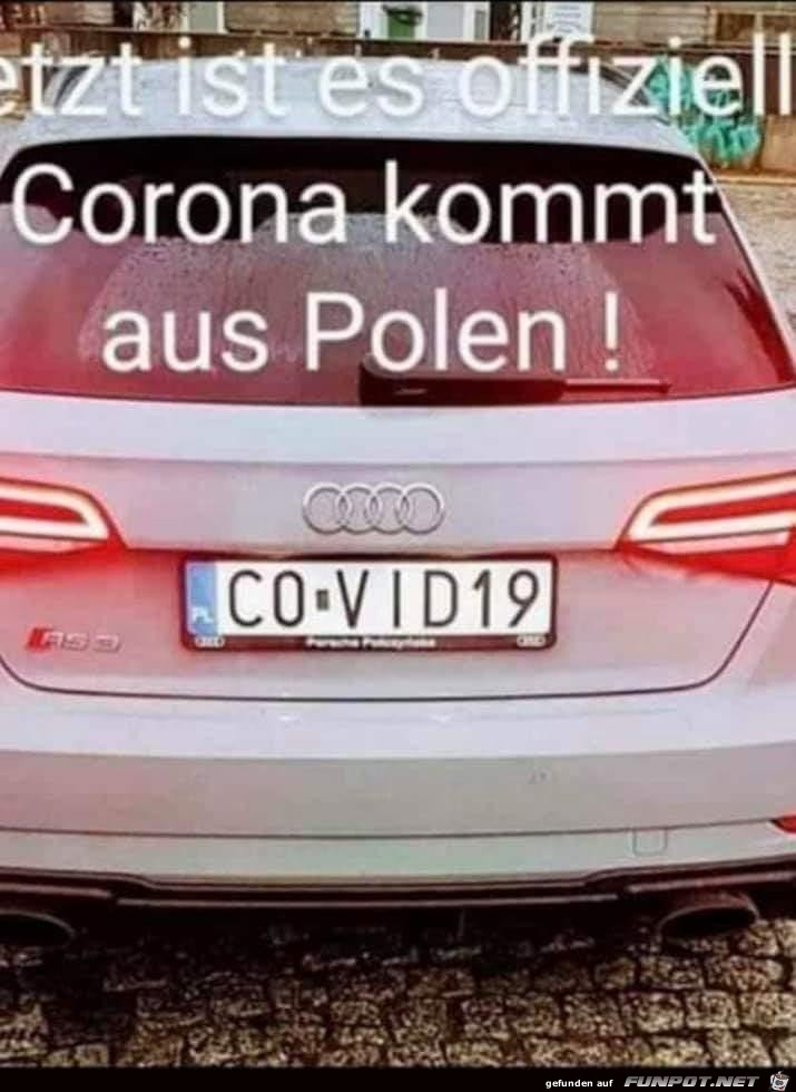 Corona kommt aus Polen