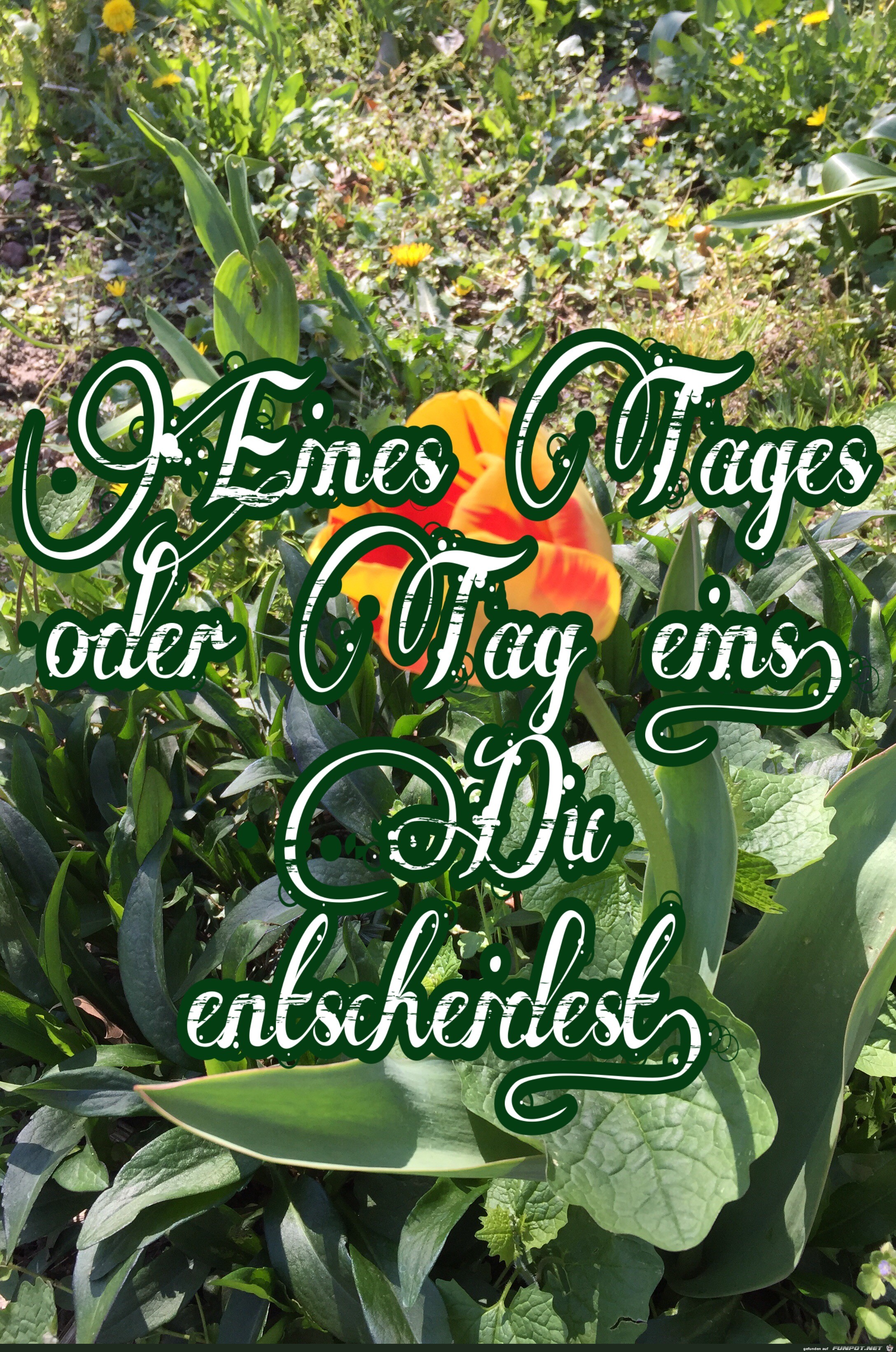 Eines Tages Eines Tages