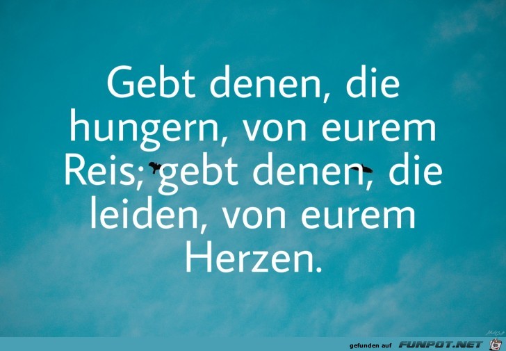 gebt denen gebt denen