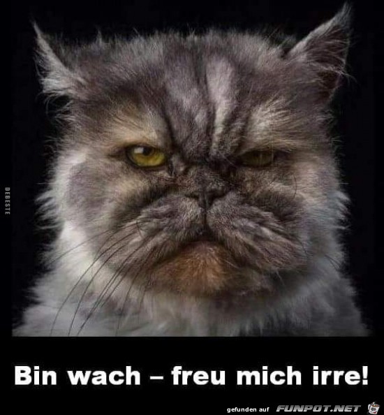 Bin wach