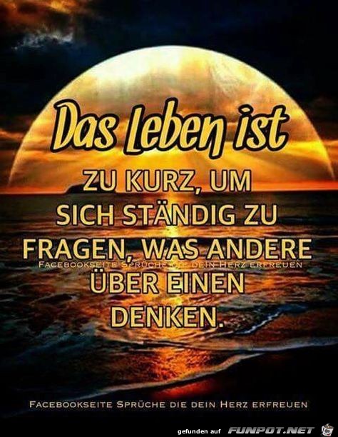 Das Leben ist zu kurz