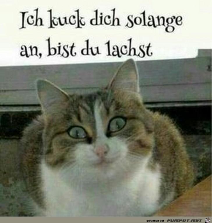 Ich kuck dich so lange an, bis du lachst