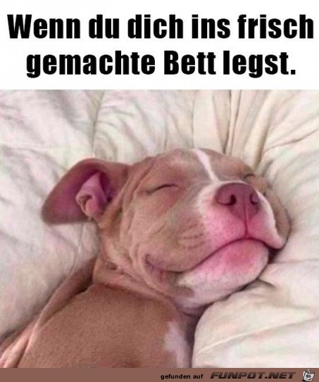 Im frisch gemachten Bett