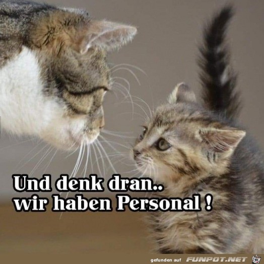 Denk dran, dass wir Personal haben