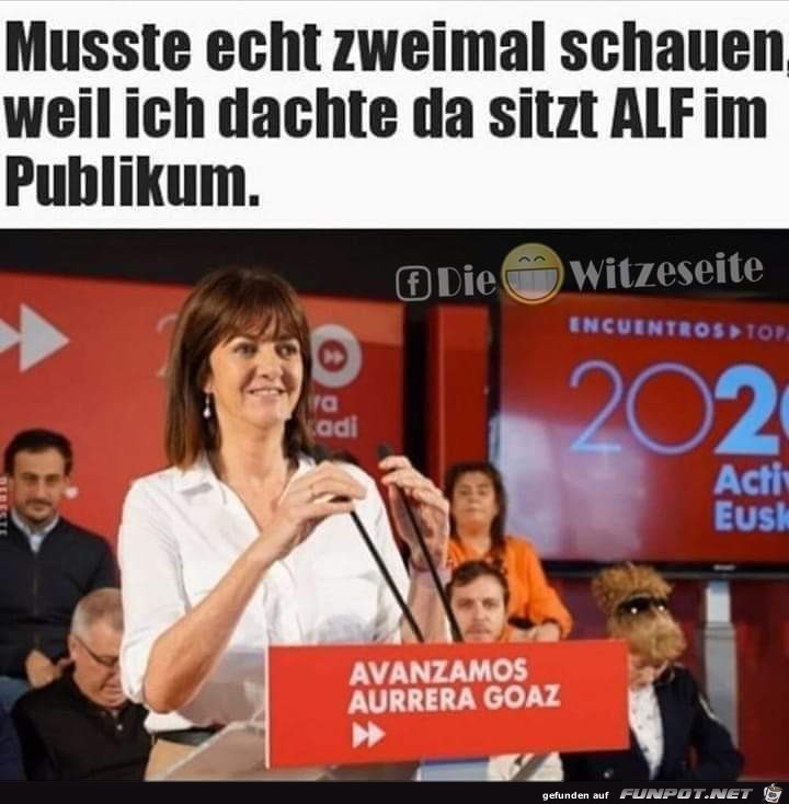 Alf ist zurck