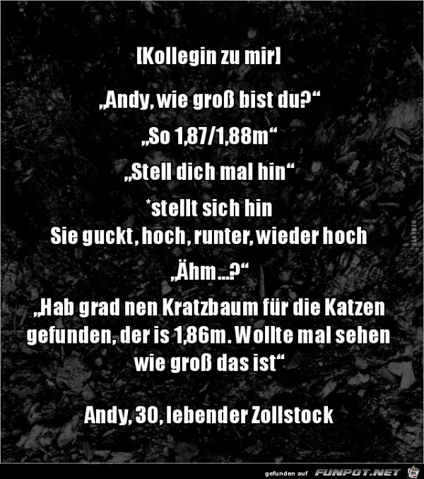 Ein lebender Zollstock