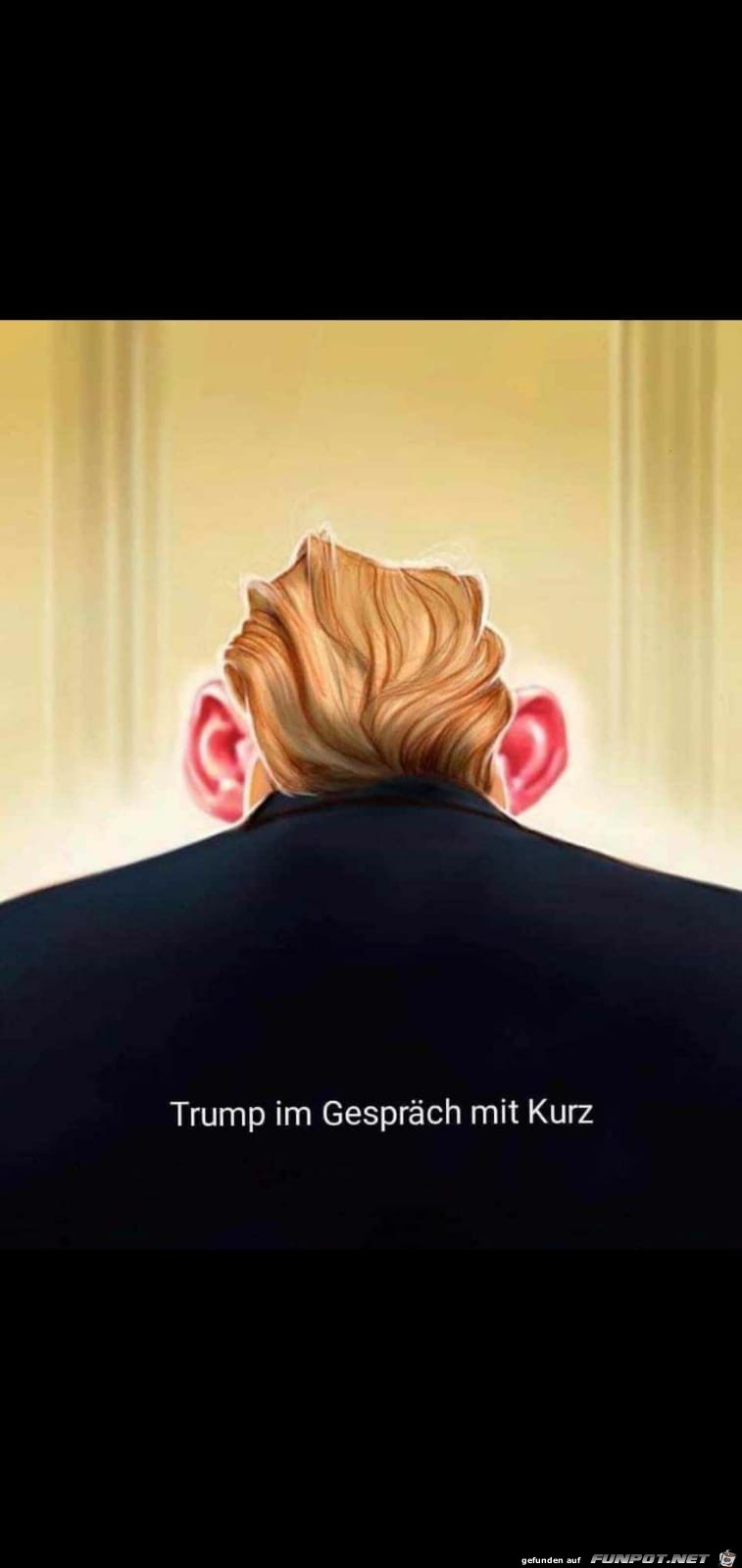 Trump im Gesprch mit Kurz