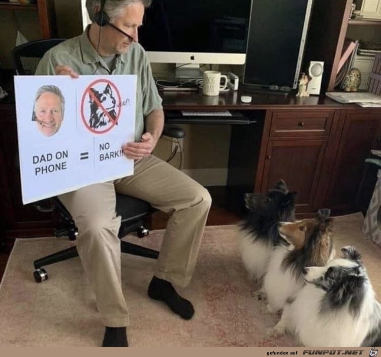 Regeln frs Home Office mit den Hunden klren