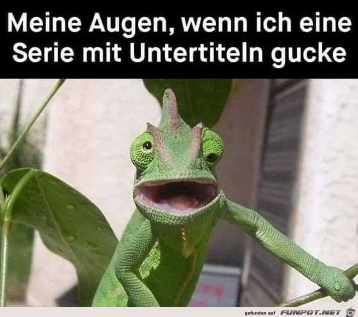 Dein Blick bei einer Serie mit Untertiteln