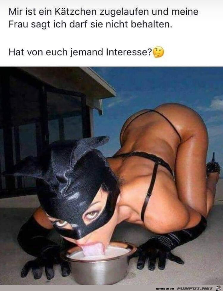 witzige frivole Bilder aus verschiedenen Blogs. Nicht...