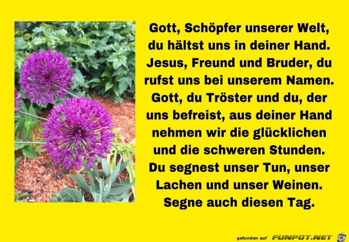 Gott Schoepfer