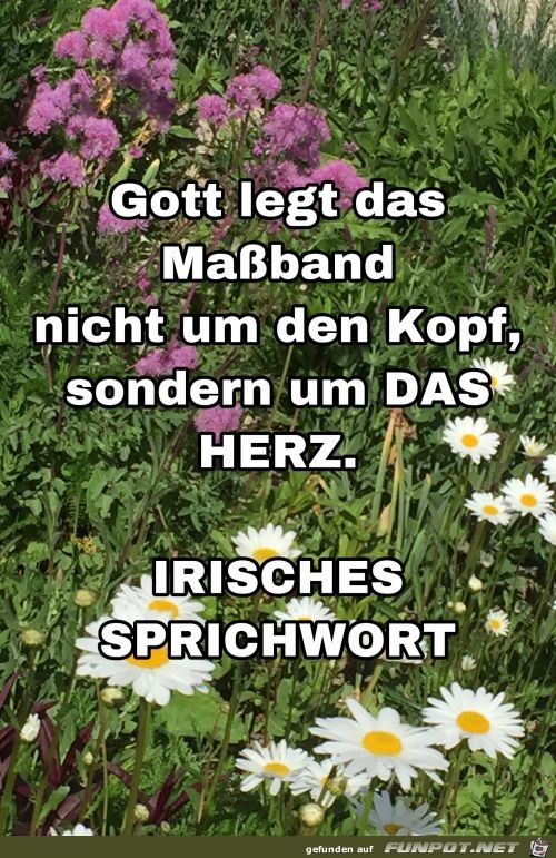 gott legt das massband