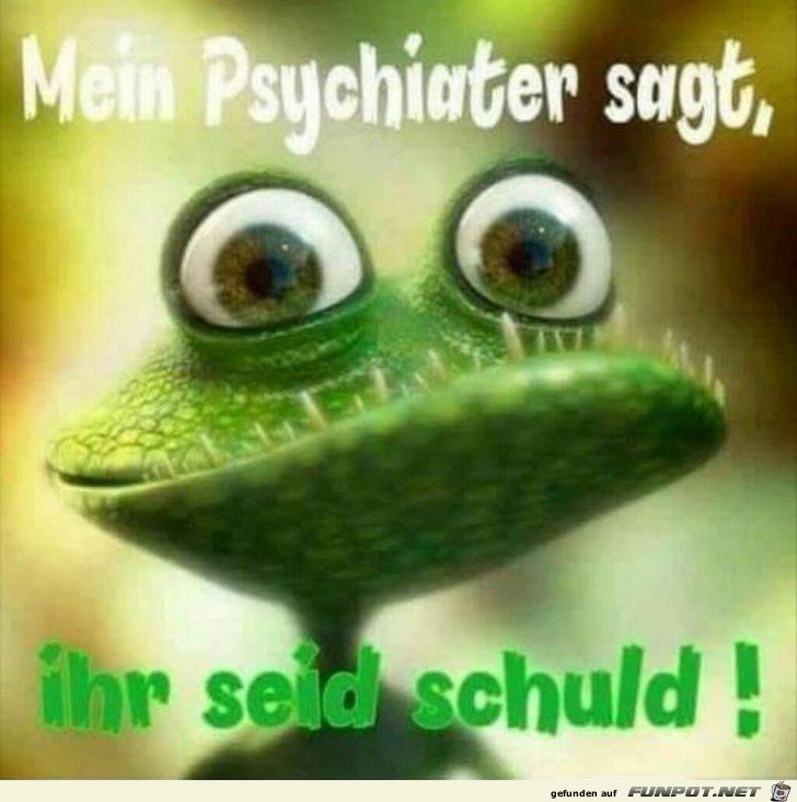 Mein Psychiater sagt, ihr seid schuld