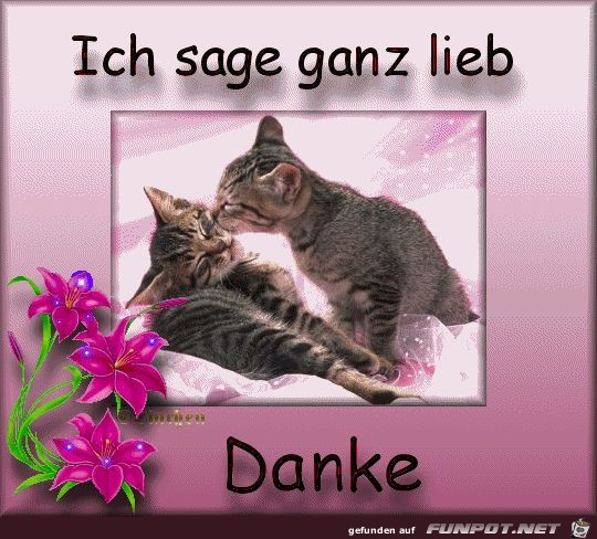 Danke