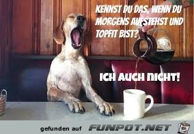 Morgens topfit sein