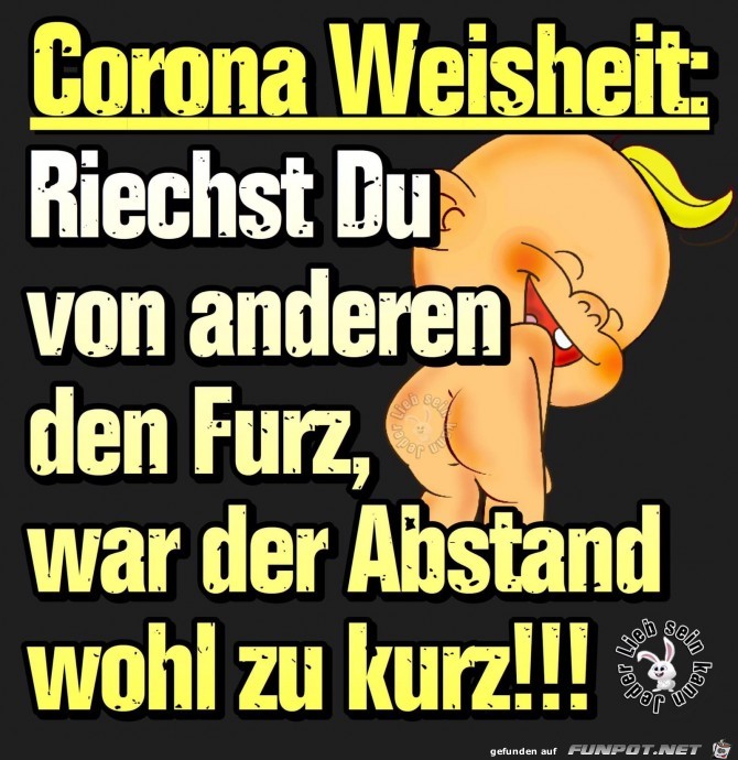 corona Weisheit