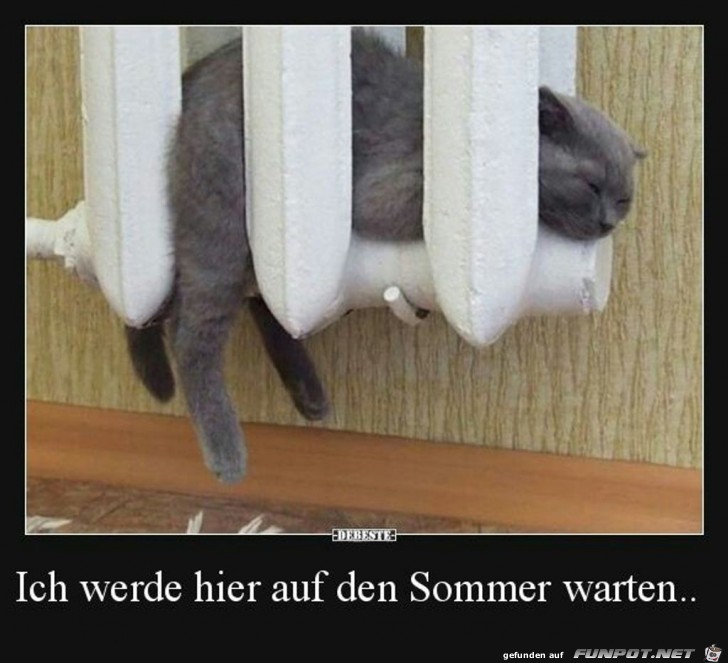 Ich werde hier auf den Sommer warten