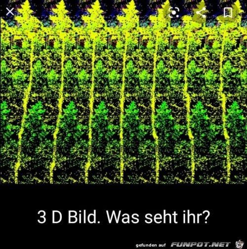 3 D Bild. Was seht ihr ?