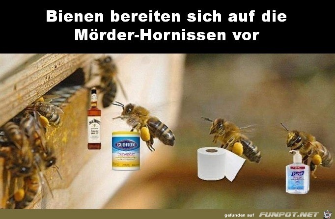 Bienen bereiten sich vor