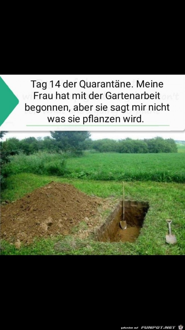 Die Gartenarbeit hat begonnen