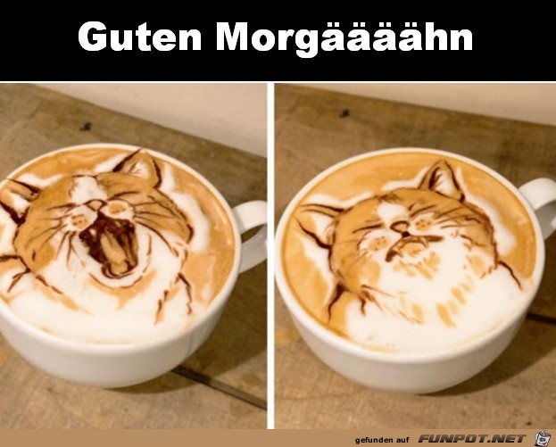 Guten Morghn