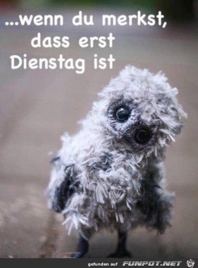 Erst Dienstag