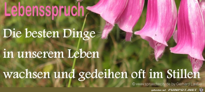 die besten Dinge im Leben