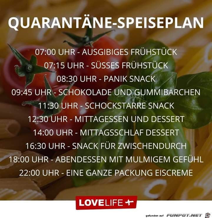 quarataenespeiseplan