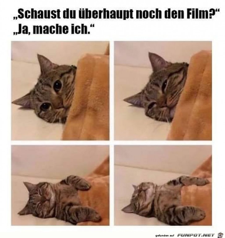 Schaust du berhaupt noch den Film ?