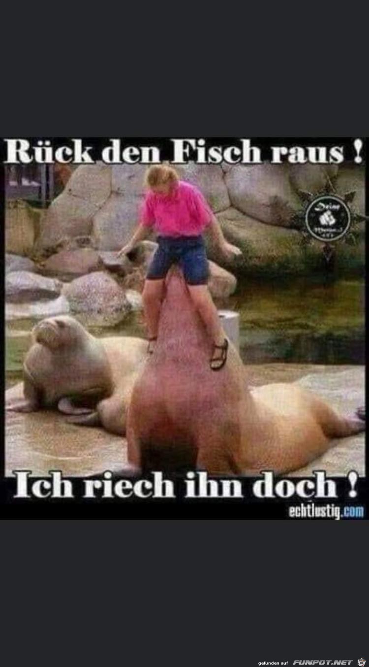 Rck den Fisch raus!