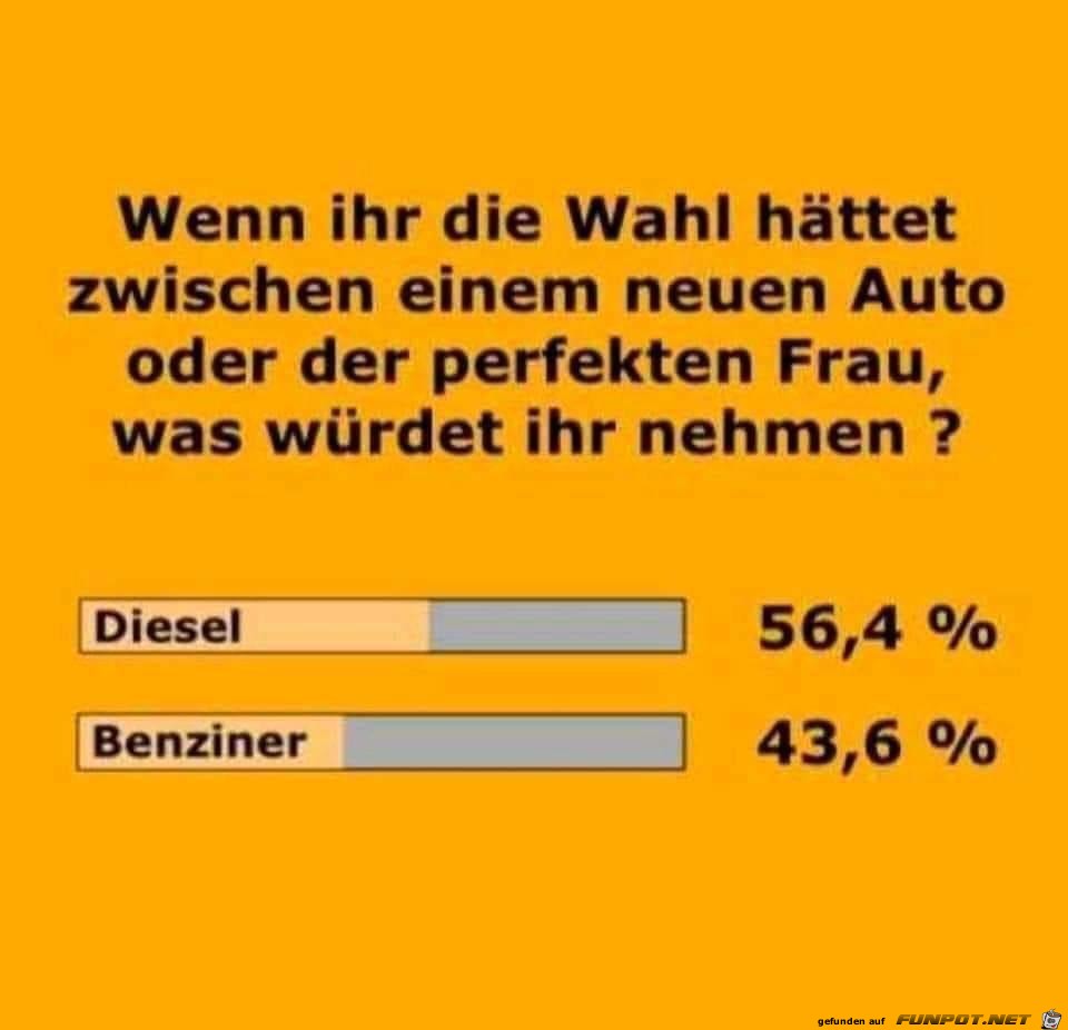 Die Wahl; Auto oder die perfekte Frau!