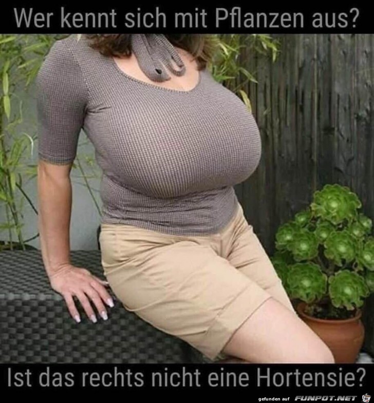 Wer kennt sich mit Pflanzen aus?