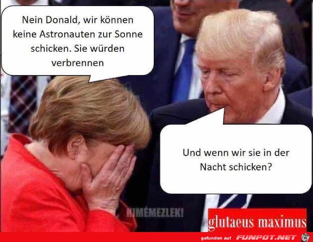 Donald Trumps Logik