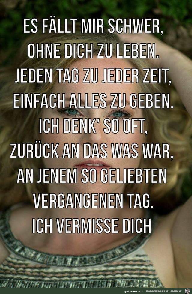 Ich vermisse dich