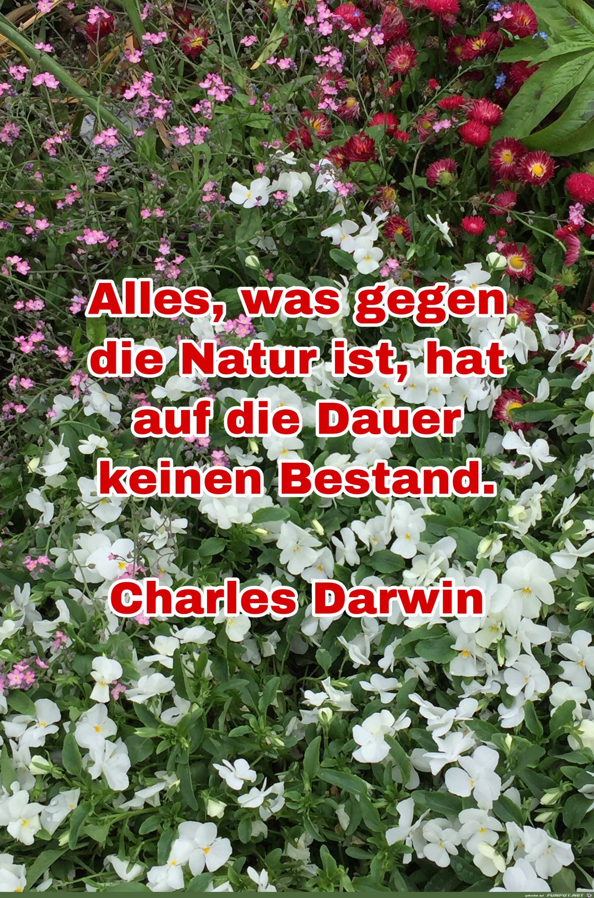 Alles was gegen die natur ist