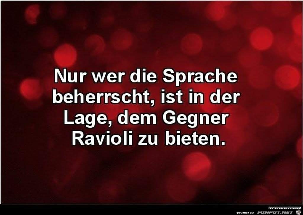 Sprache beherrschen