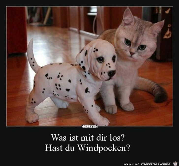 was ist mit dir los ? Hast du Windpocken ?