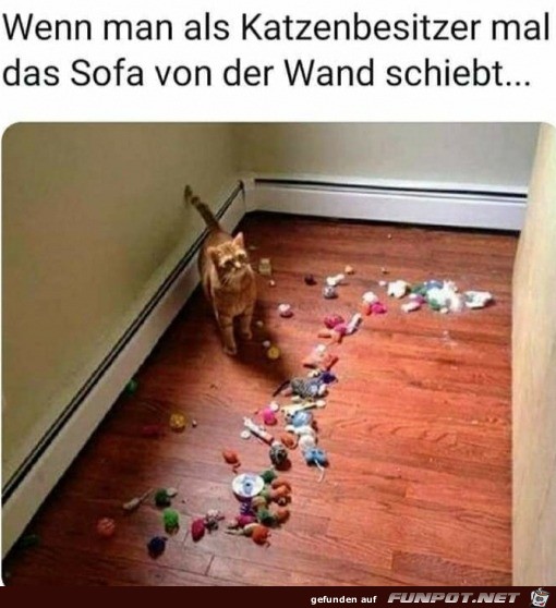 Viel Katzenspielzeug hinter dem Sofa